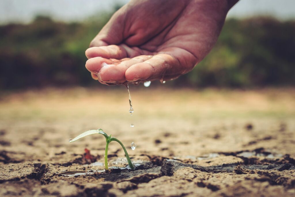 A hand gently watering a small sprout in dry soil, symbolizing growth and care.